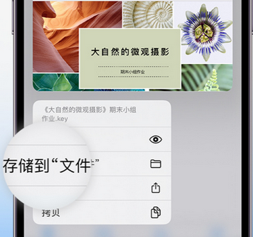 港北apple维修中心分享iPhone文件应用中存储和找到下载文件