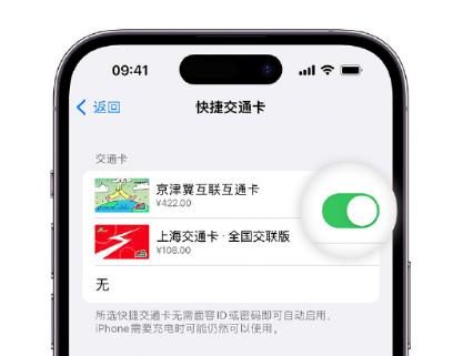 港北apple维修点分享iPhone上更换Apple Pay快捷交通卡手绘卡面 