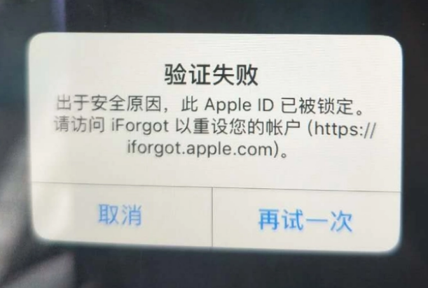 港北iPhone维修分享iPhone上正常登录或使用AppleID怎么办 