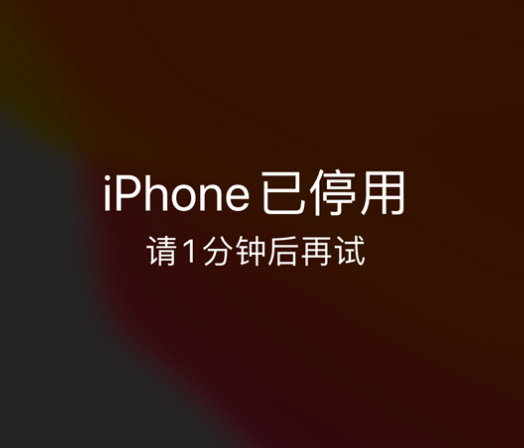 港北苹果手机维修分享:iPhone 显示“不可用”或“已停用”怎么办？还能保留数据吗？ 