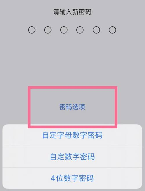 港北苹果14维修分享iPhone 14plus设置密码的方法 