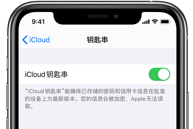 港北苹果手机维修分享在 iPhone 上开启 iCloud 钥匙串之后会储存哪些信息 