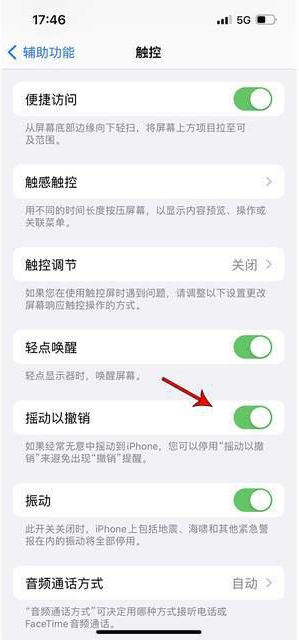 港北苹果手机维修分享iPhone手机如何设置摇一摇删除文字 